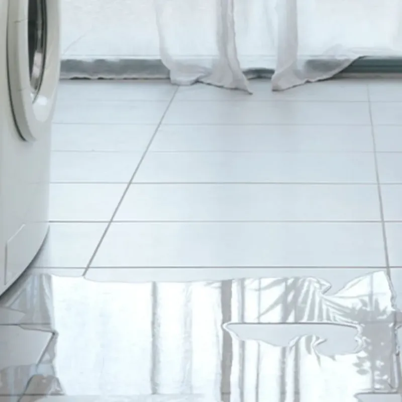 Appliance Leak Cleanup in Lombard, IL