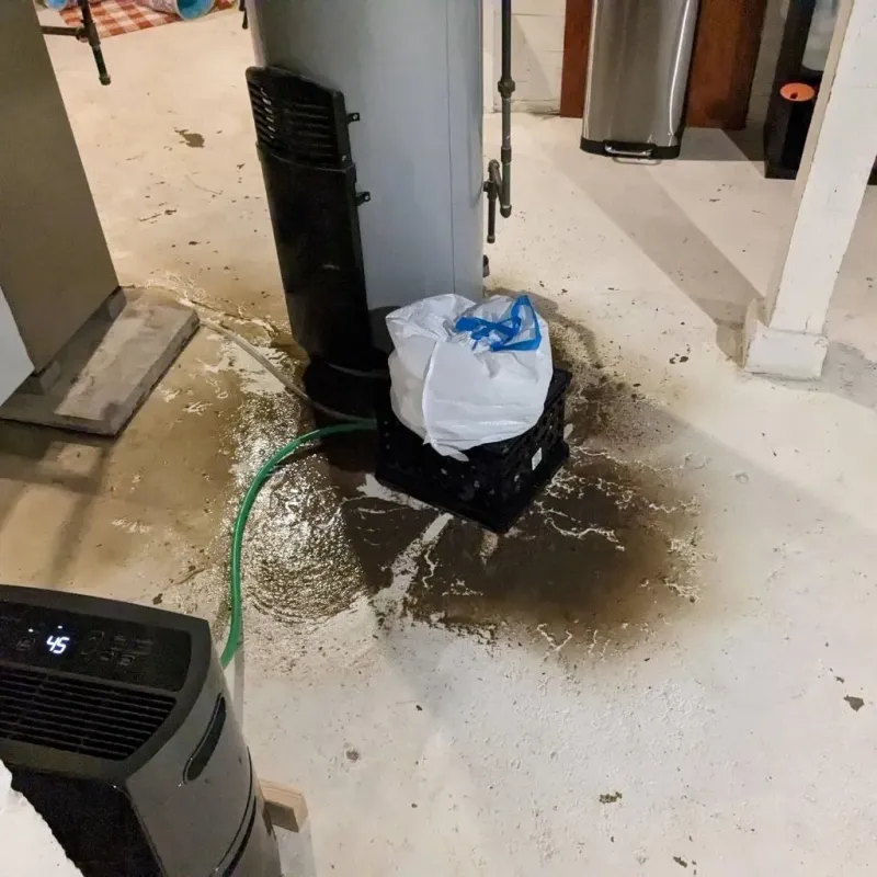 Sewage Backup Cleanup Service in Lombard, IL